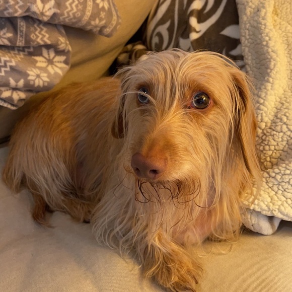 Meet your Posher, Gayle - Picture 6 of 7